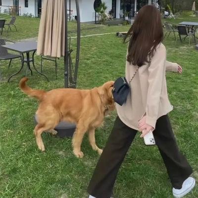 有其父未必有其子