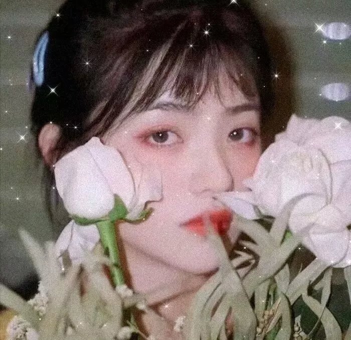 周日好朋友